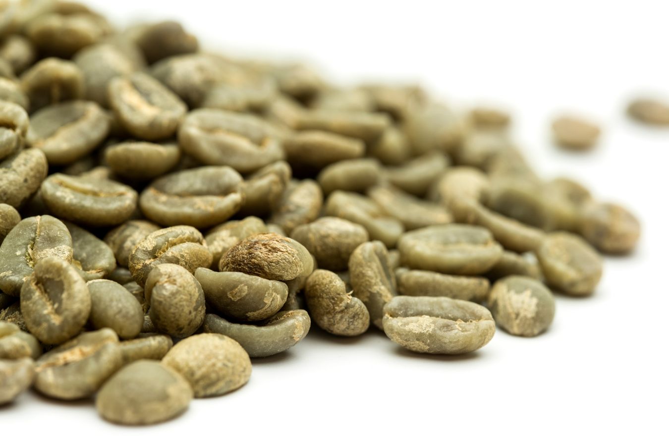 Popular Coffee Varieties Origin & Characteristics