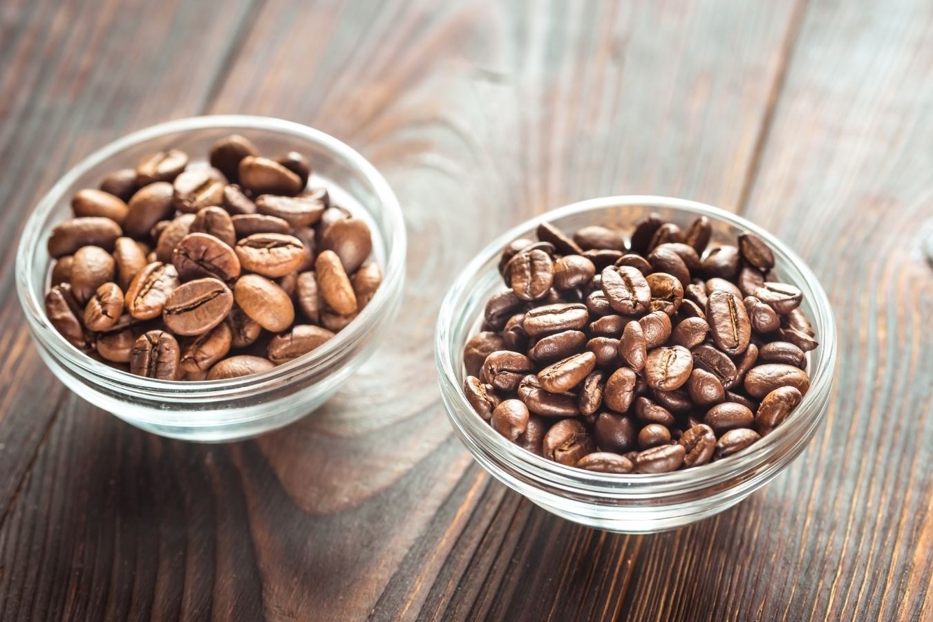 how-to-distinguish-arabica-coffee-and-robusta-coffee