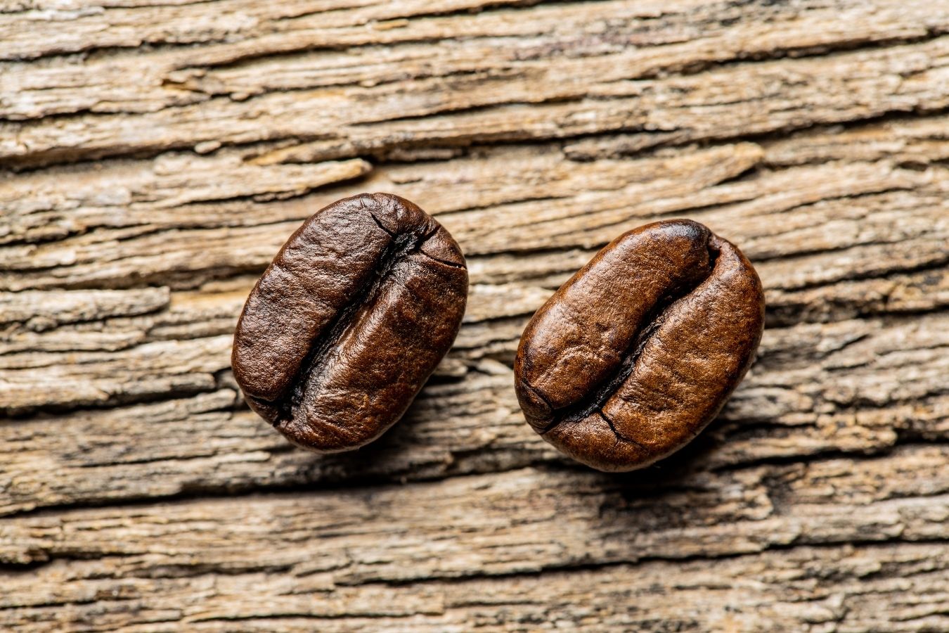 which-is-more-delicious-arabica-or-robusta-coffee