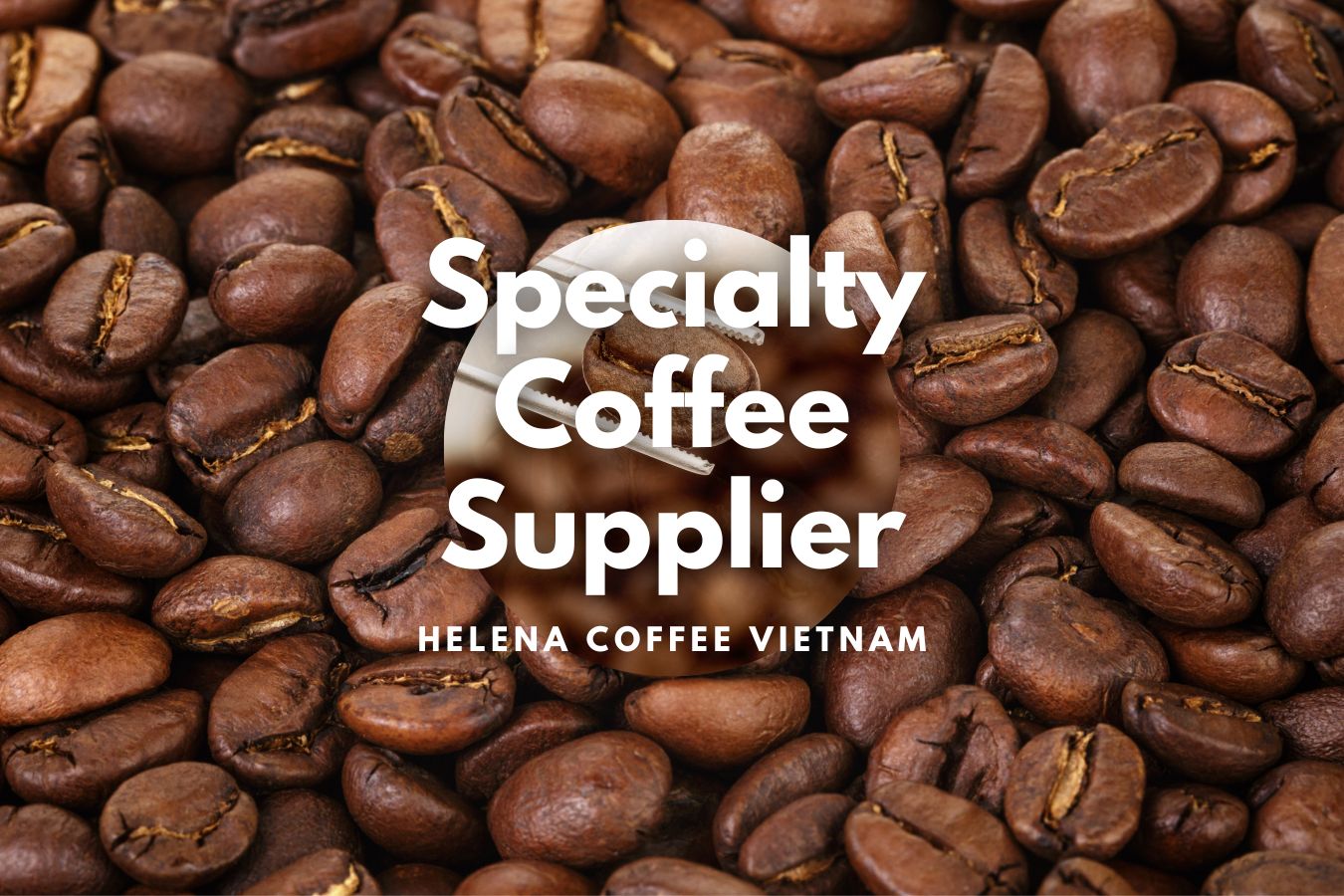 specialty-coffee-supplier-wholesale