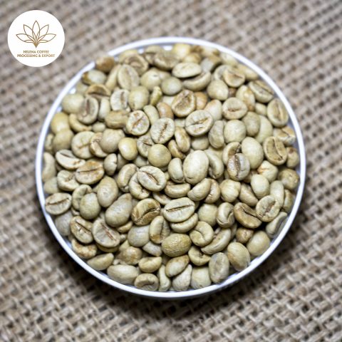 Vietnam Wet-processed Robusta Coffee Beans (S16, S18)