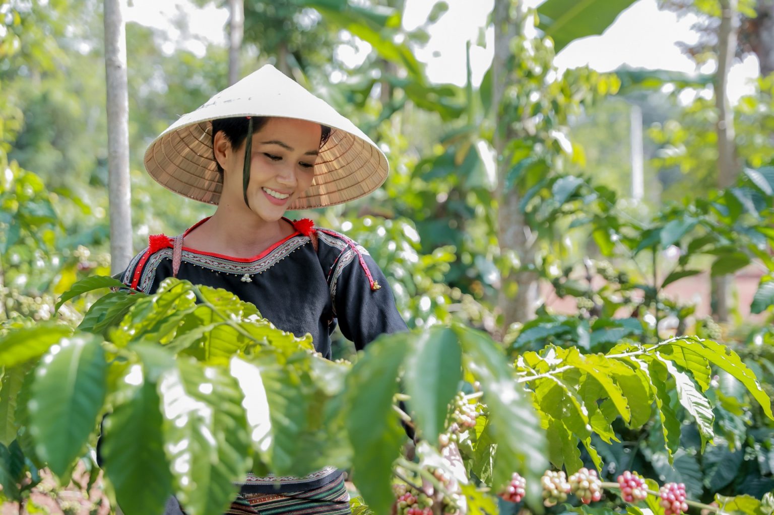 About Us - Helena Coffee Vietnam