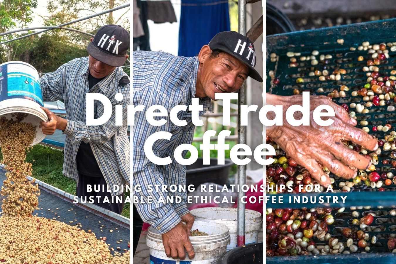 Direct Trade Coffee: Building Strong Relationships for a Sustainable and Ethical Coffee Industry