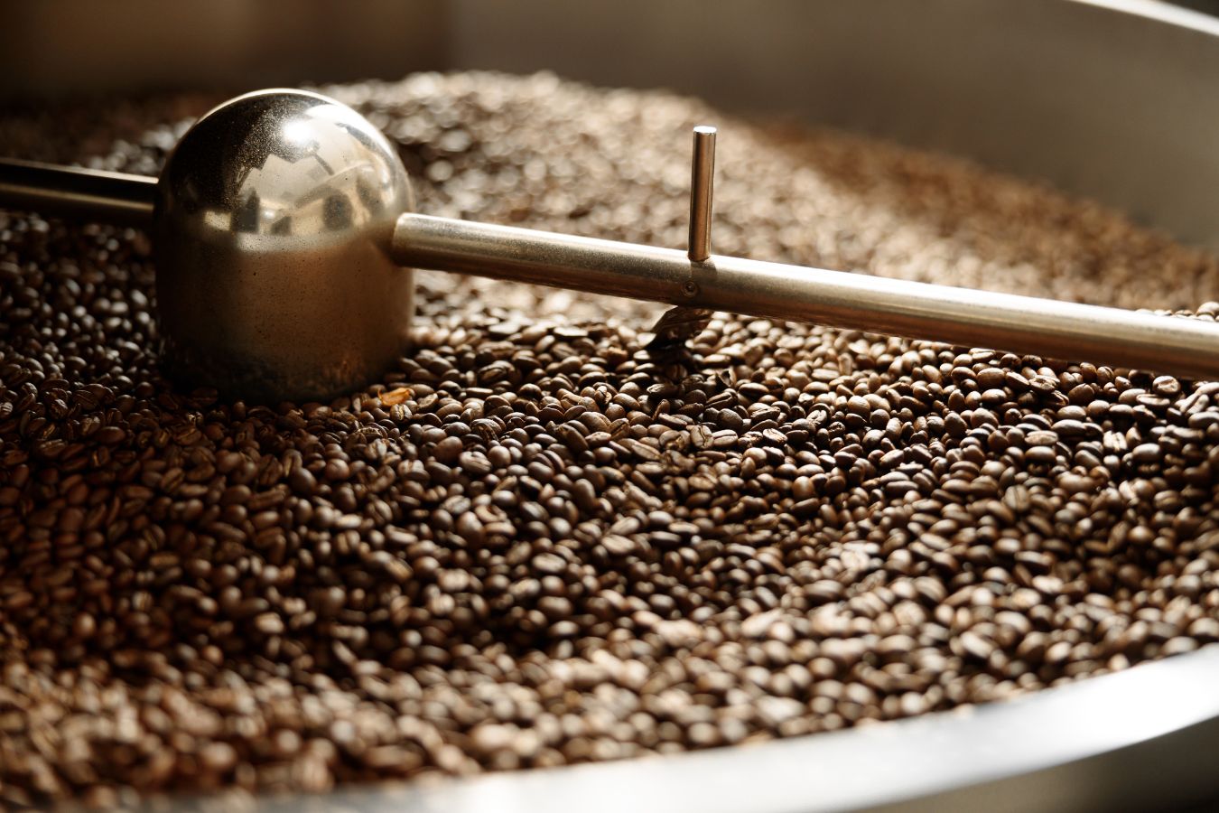 Four Main Coffee Processing Methods