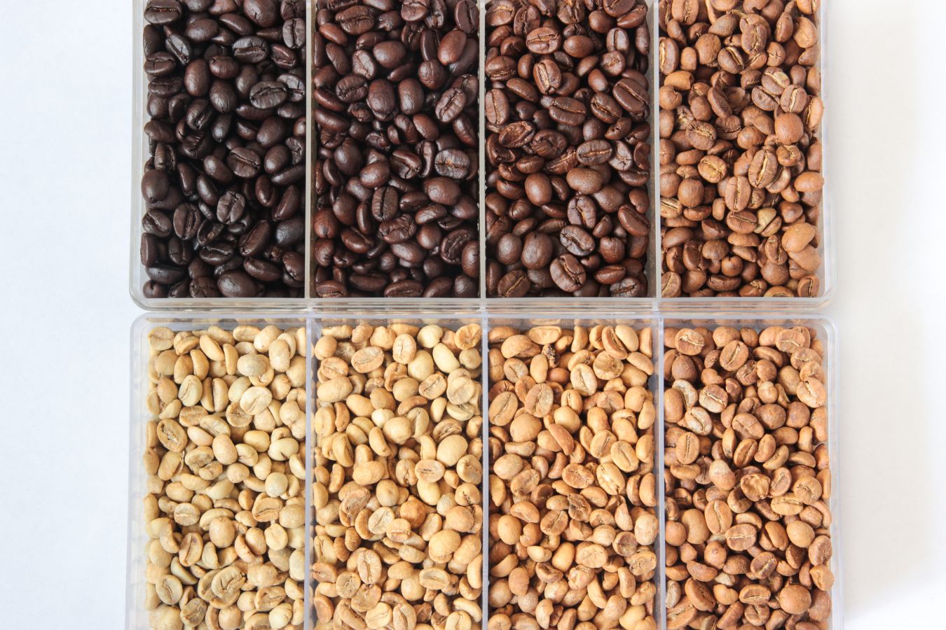 Light, Cinnamon, City: Coffee Roast Level Terms