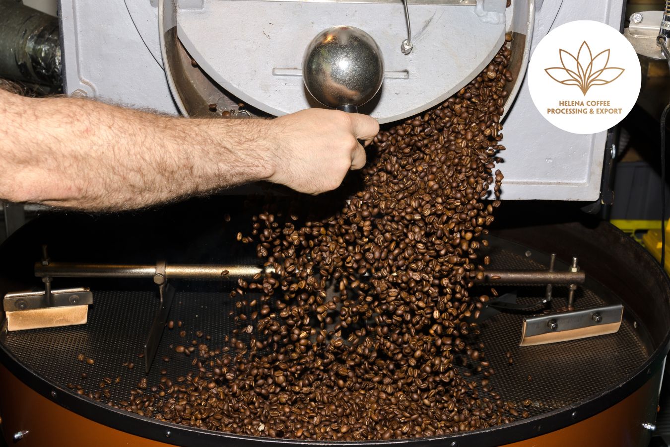Physical Changes During Coffee Roasting