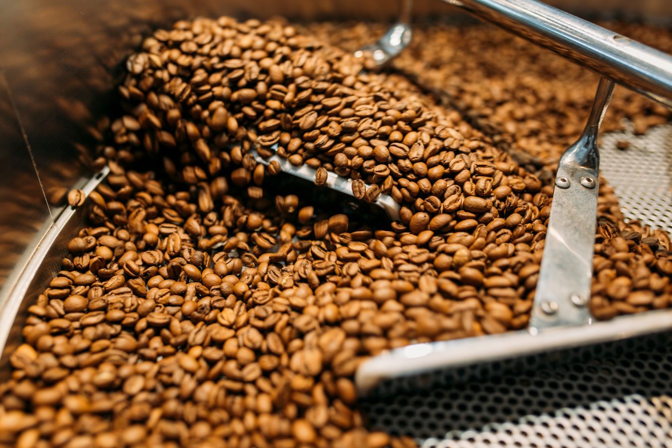 Roast Graphs – The Basis Of The Coffee Roasting Process