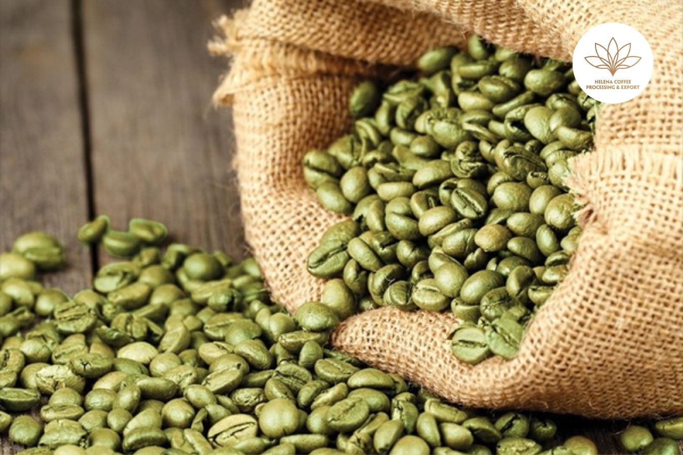Samples Of Green Coffee Beans: How To Choose And Preserve