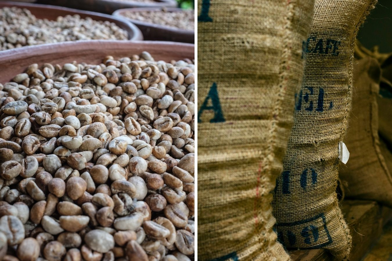 The Difference Between Specialty and Commercial Coffee