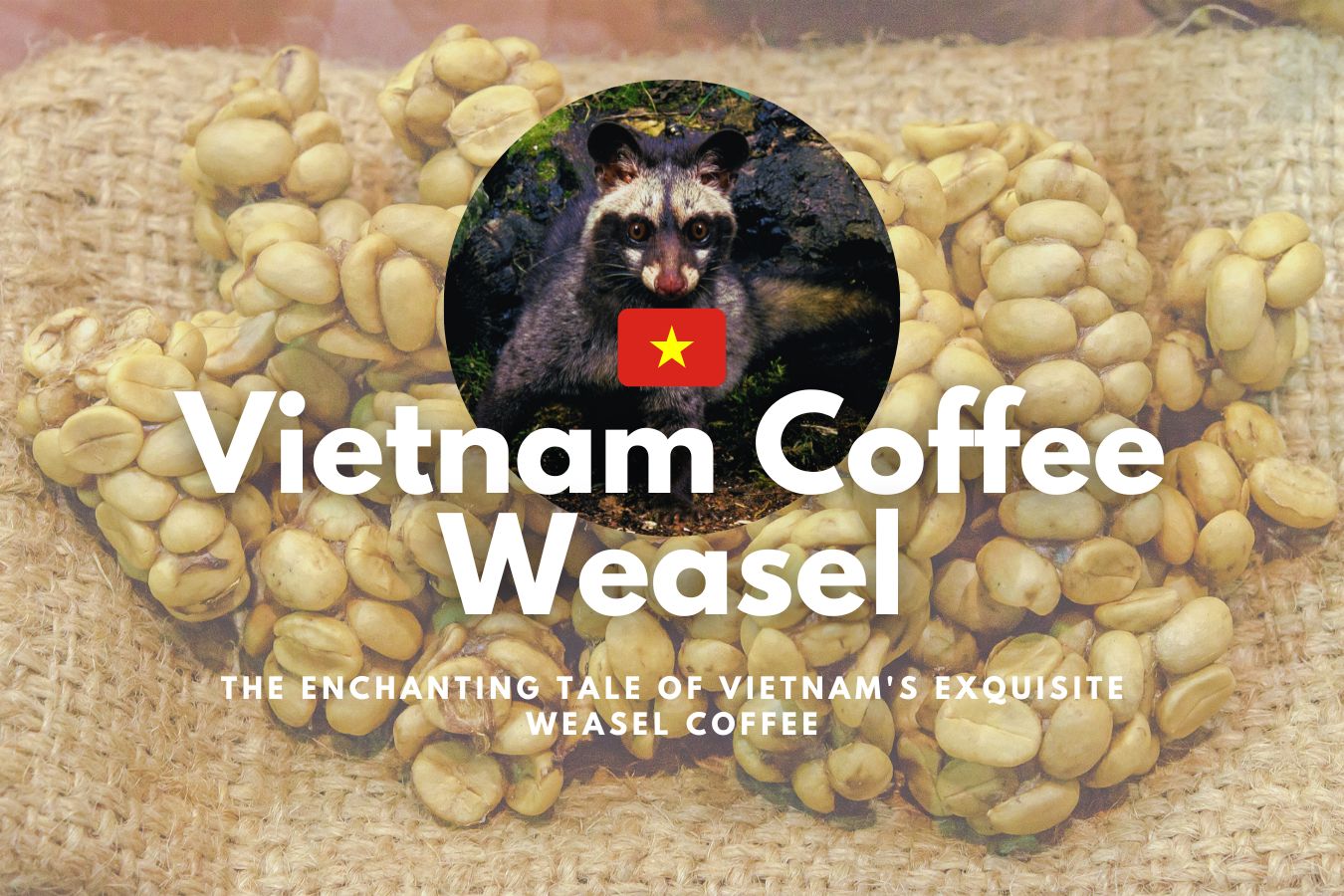 The Story of Vietnamese Weasel Coffee The Enchanting Tale of Vietnam's Exquisite Weasel Coffee