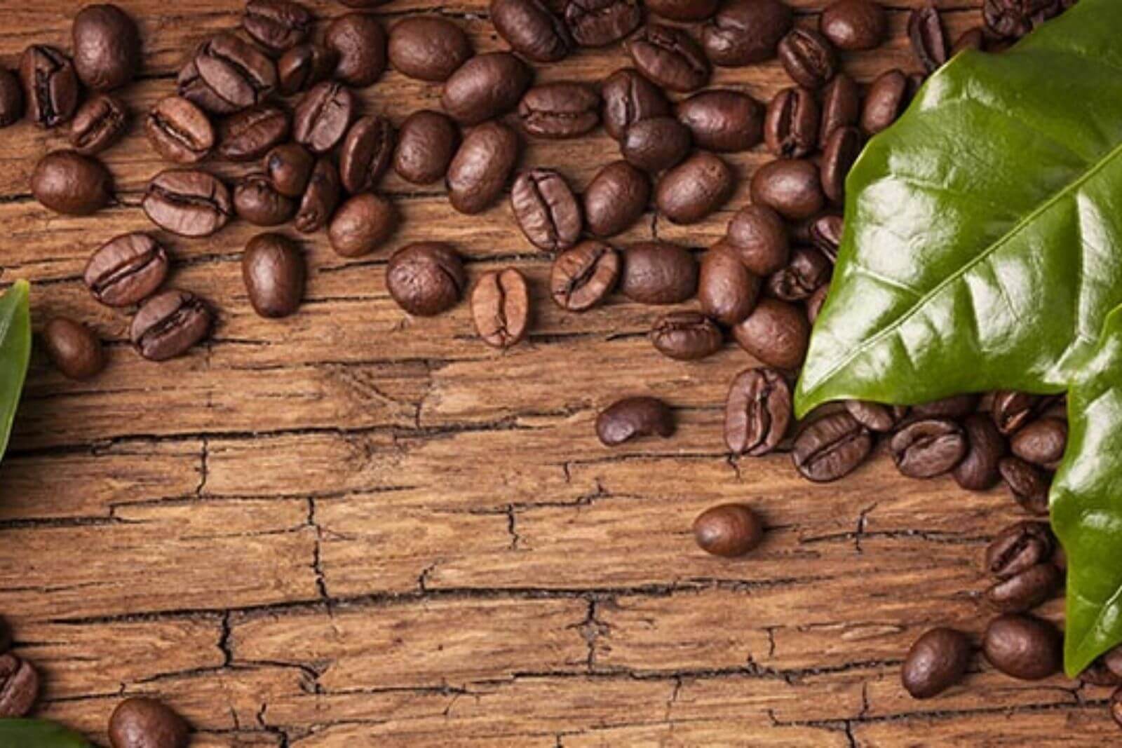 How To Recognize Freshly Roasted Arabica Coffee?