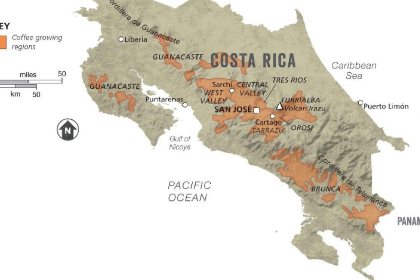 Coffee Origins: Costa Rica