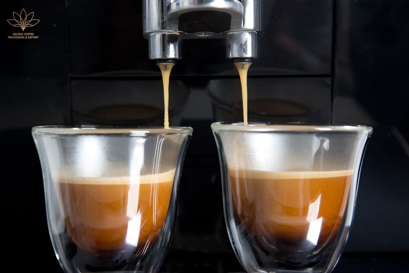 What Is Coffee Crema Things You Need To Know
