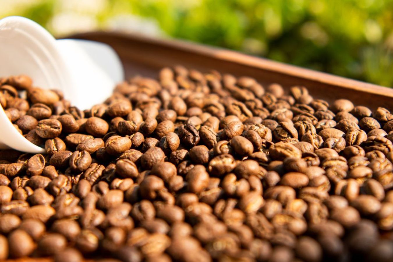 10 Things To Know When Buying Coffee