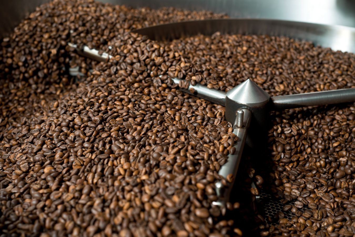 Coffee Roasting Terminology