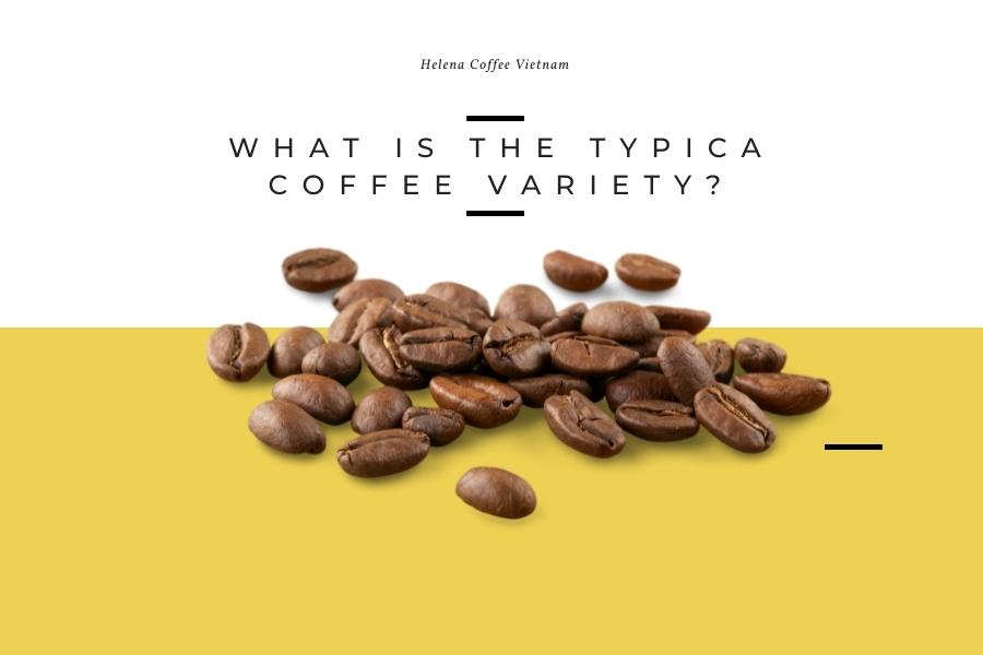 what-is-the-typica-coffee-variety