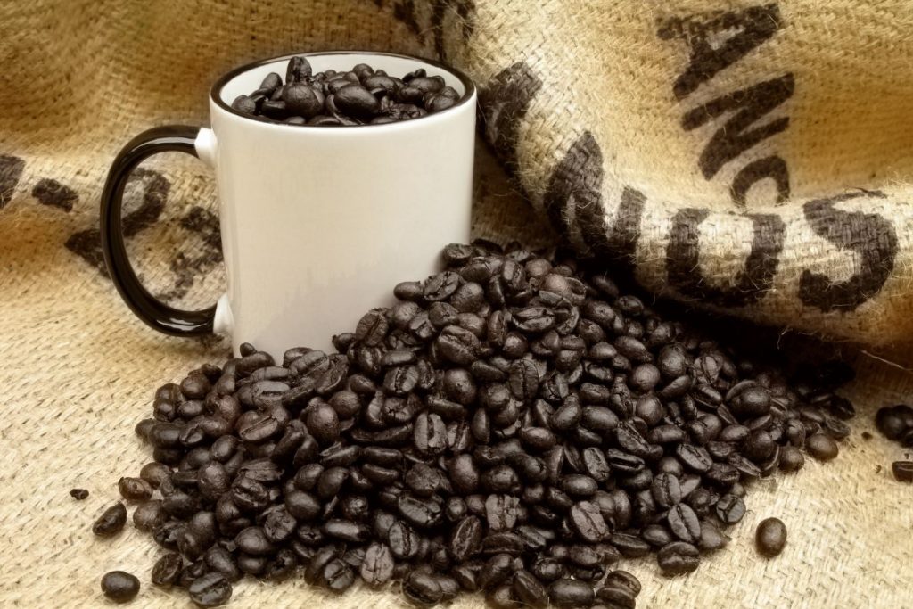 PRIMARY DARKROAST COFFEE TASTE SENSATIONS