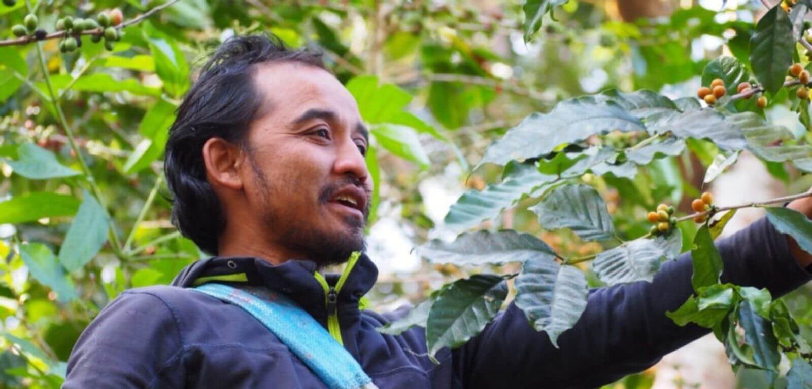 the-transformation-of-coffee-farmers
