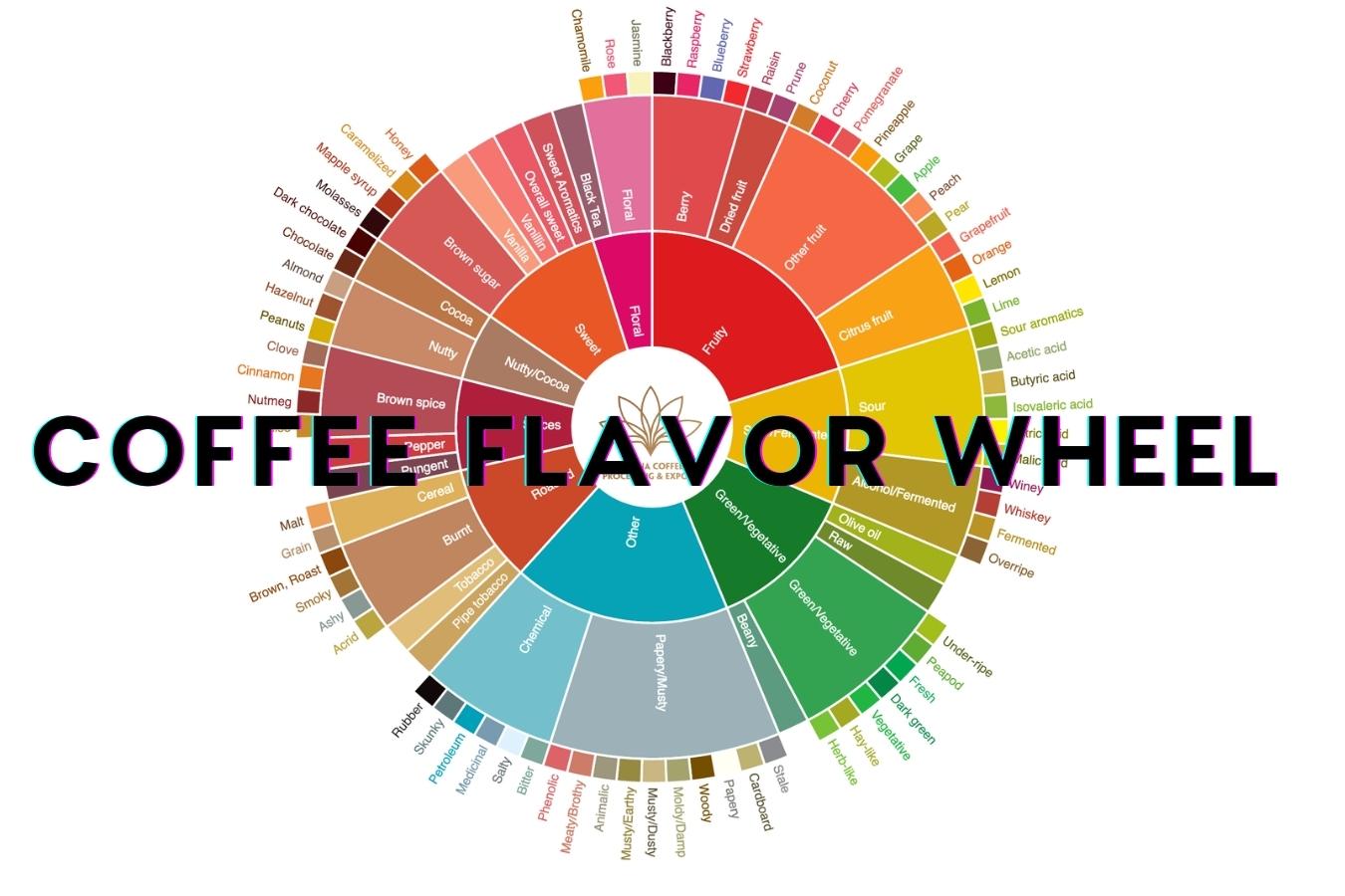 How many flavors does coffee have? Discover the secrets of the world of coffee flavors