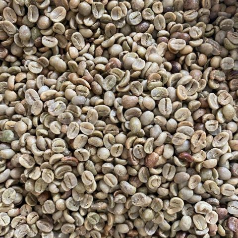 Arabica Catimore Fully Washed Grade 2