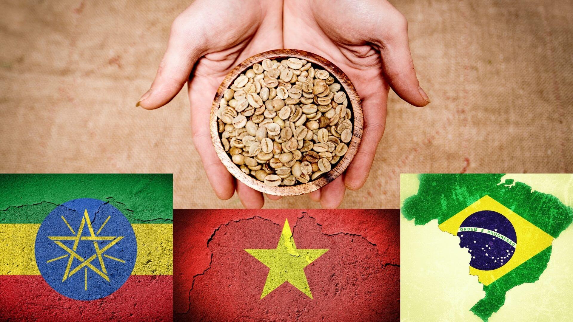 Bulk Green Coffee Beans in Brazil, Ethiopia and Vietnam