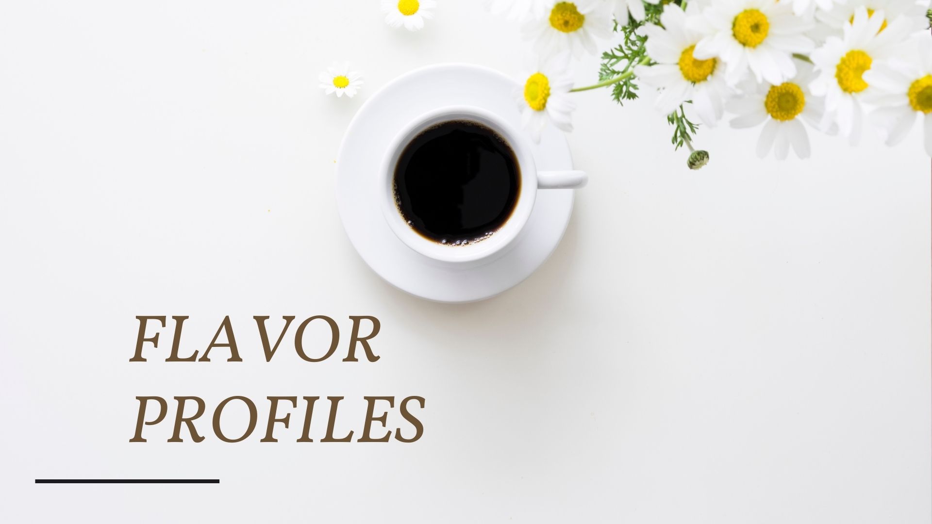 COFFEE FLAVOR PROFILES