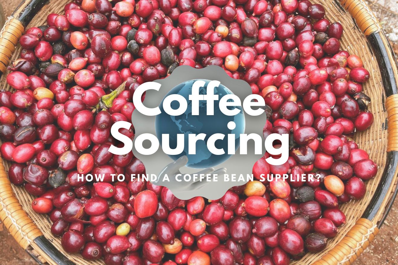 Coffee Sourcing How To Find A Coffee Bean Supplier