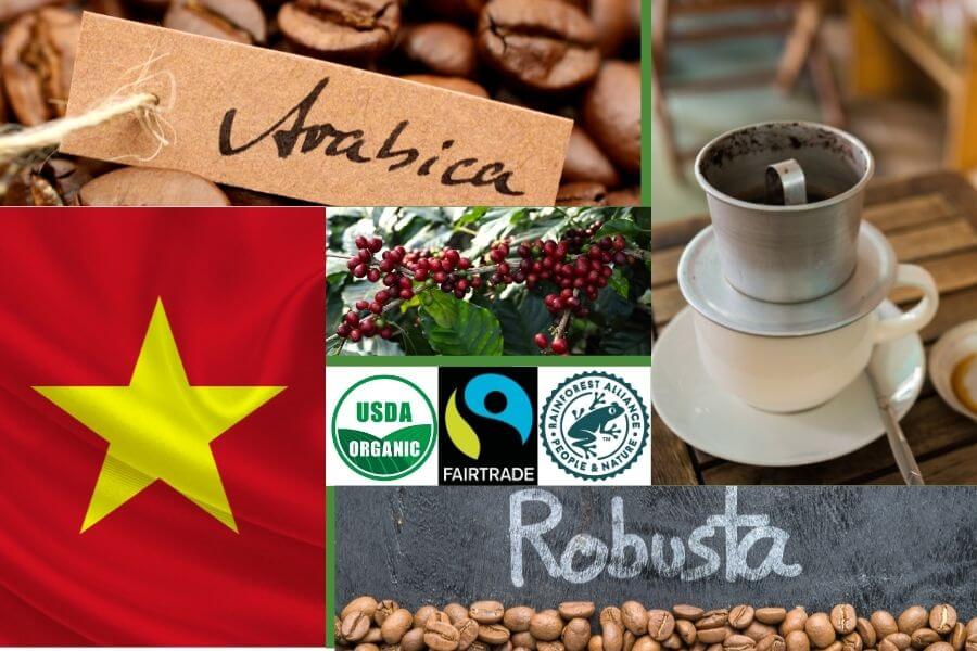 Origin Green Coffee Of Helena Coffee - Vietnam