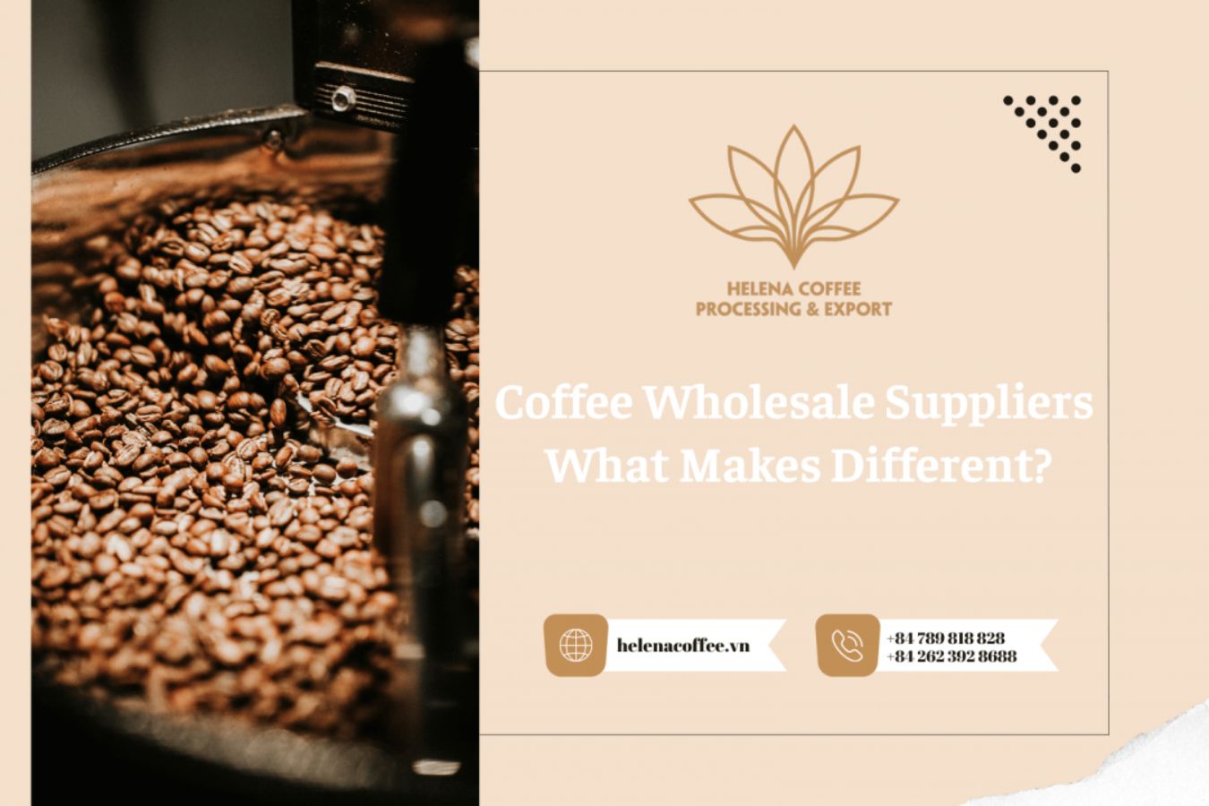 Coffee Wholesale Suppliers What Makes Different