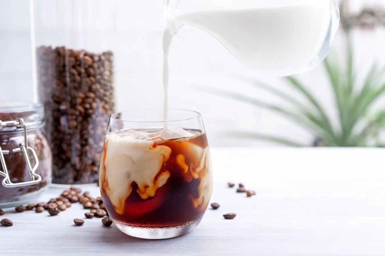 Cold Brew Coffee – Coffee Taste Of Connoisseurs