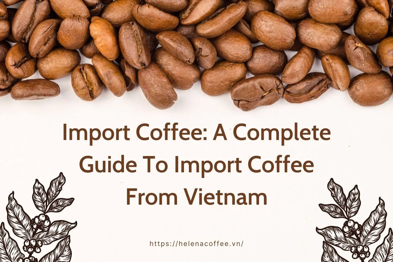 Import Coffee A Complete Guide to Import Coffee from Vietnam