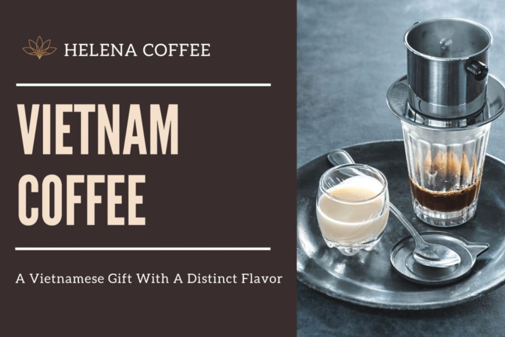 Vietnam Coffee: A Vietnamese Gift With A Distinct Flavor