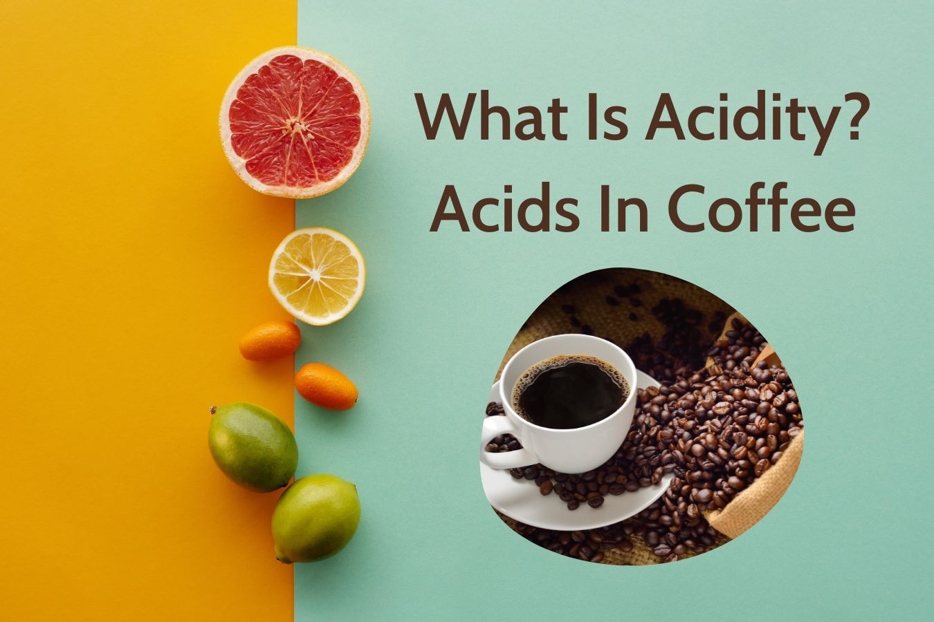 What Is Acidity Acids In Coffee