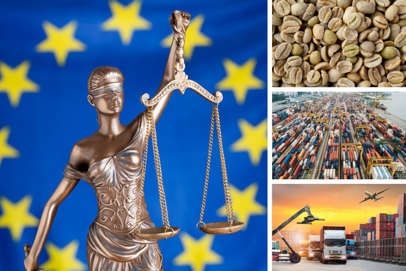 guidance-on-the-process-of-exporting-coffee-to-europe-eu