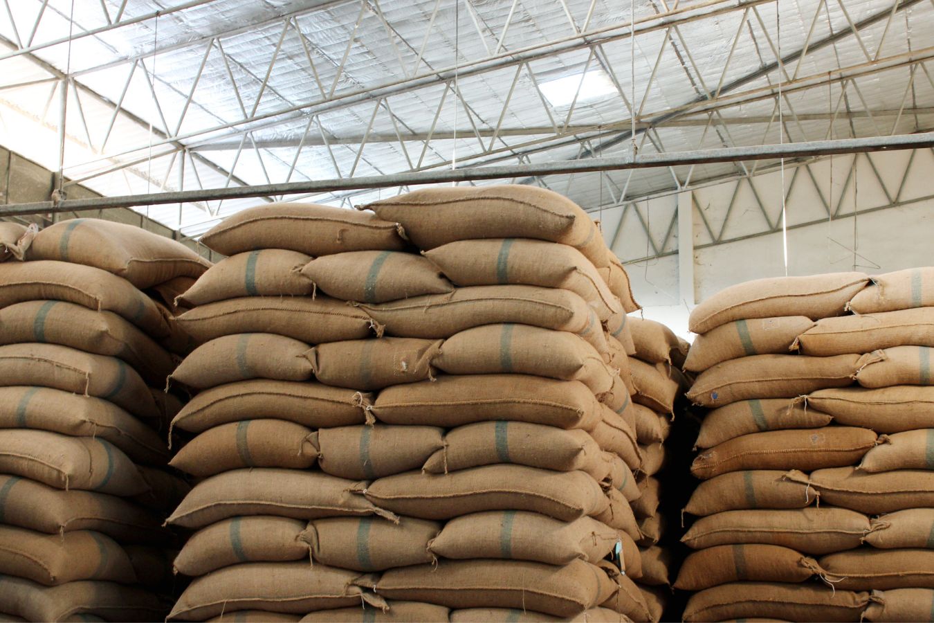 All About The World of Coffee Warehouse