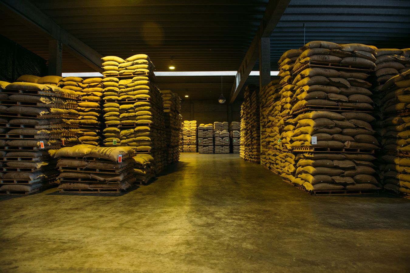 Coffee Beans For Long-Term Storage