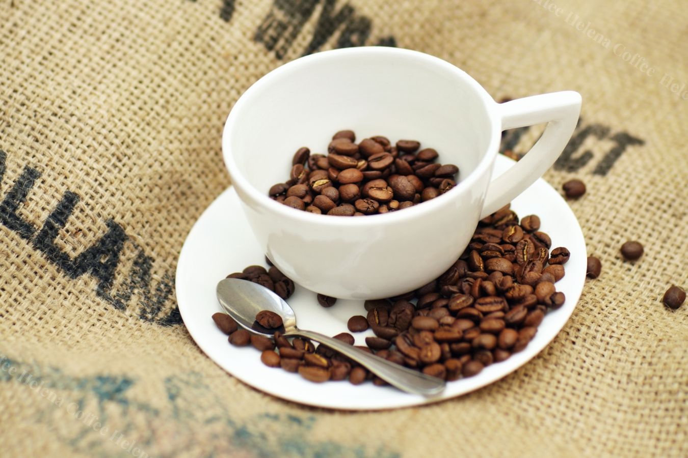 Export Of Coffee: Northern Europe - Helena Coffee Vietnam