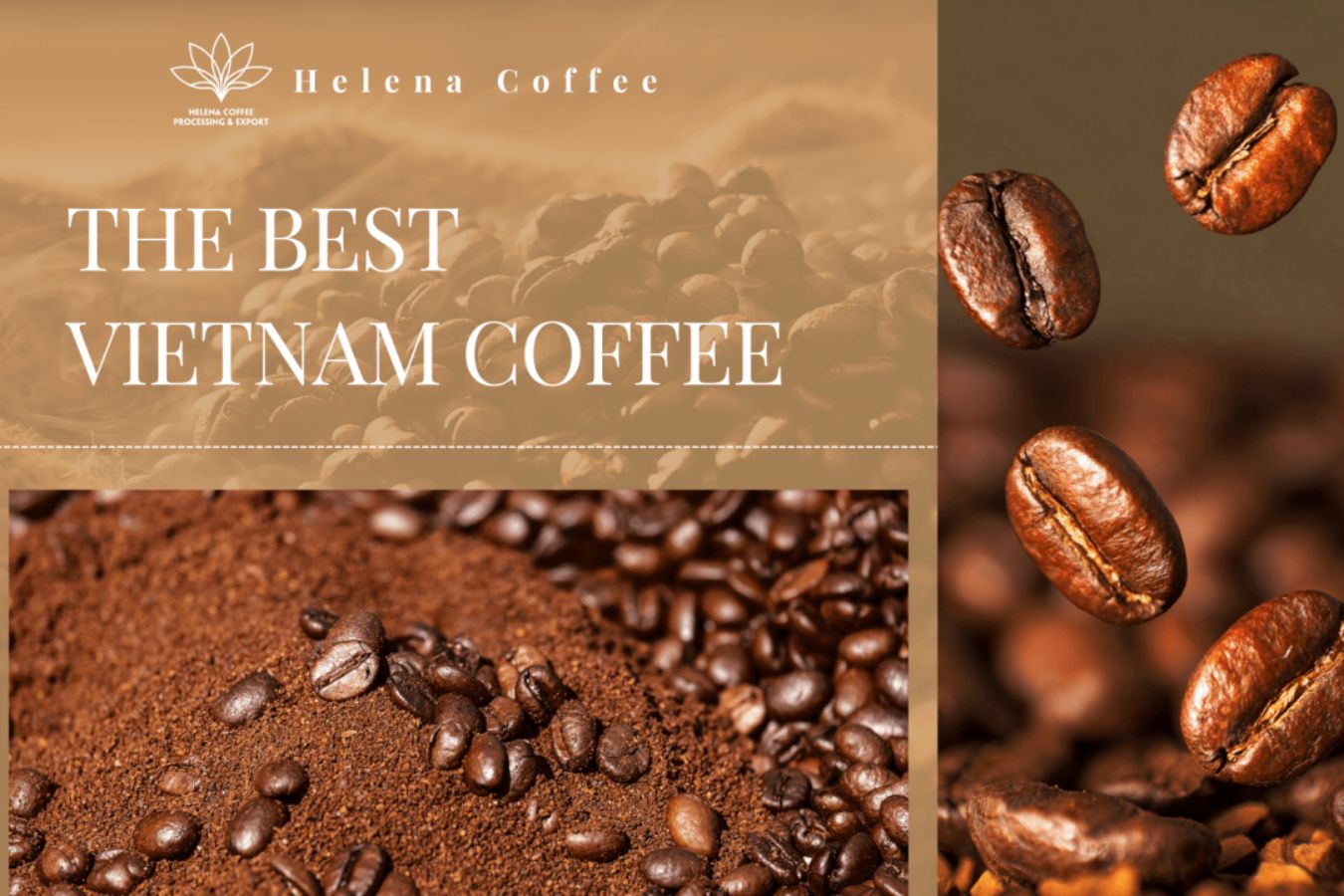 The Best Vietnam Coffee