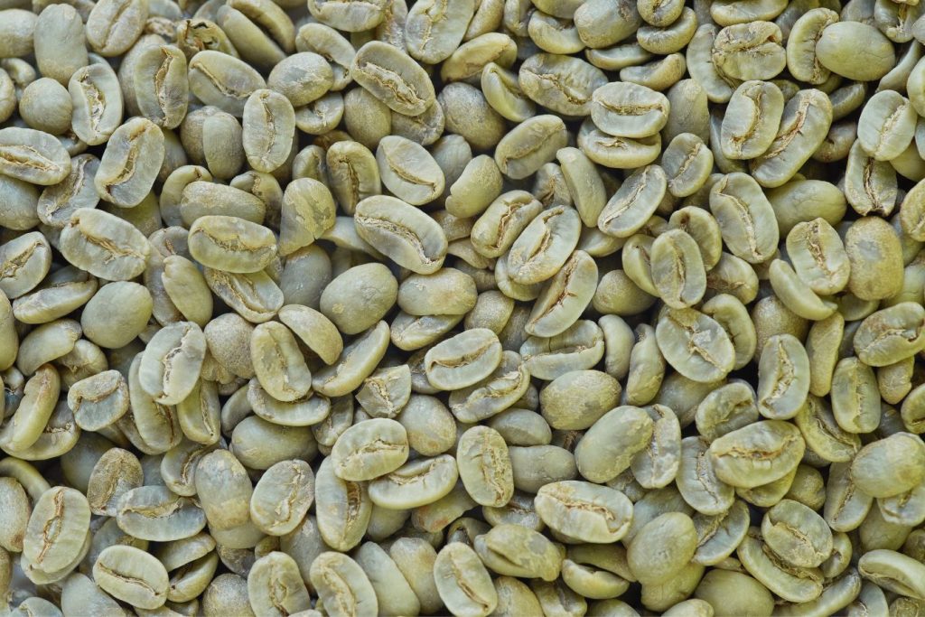 What Does Green Bean Mean?
