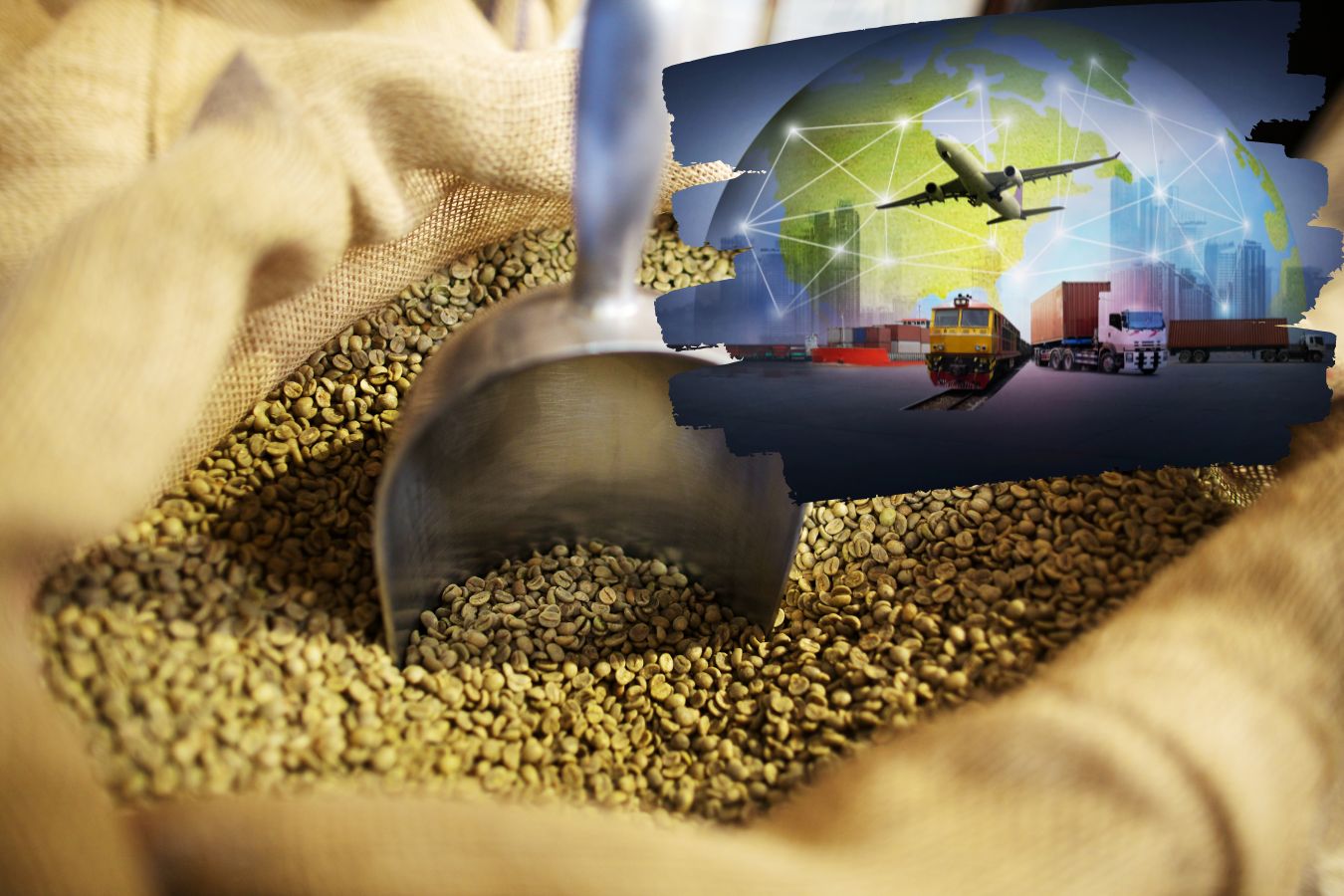 Green Coffee Bean: Everything You Need To Know Before Importing & Exporting