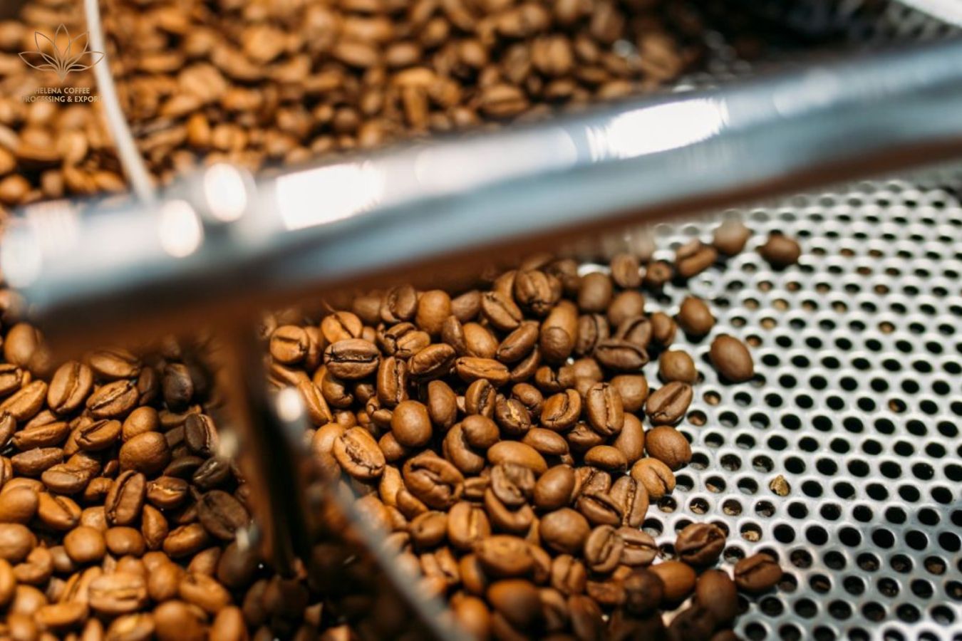 4 Phase Important Coffee Roasting Development
