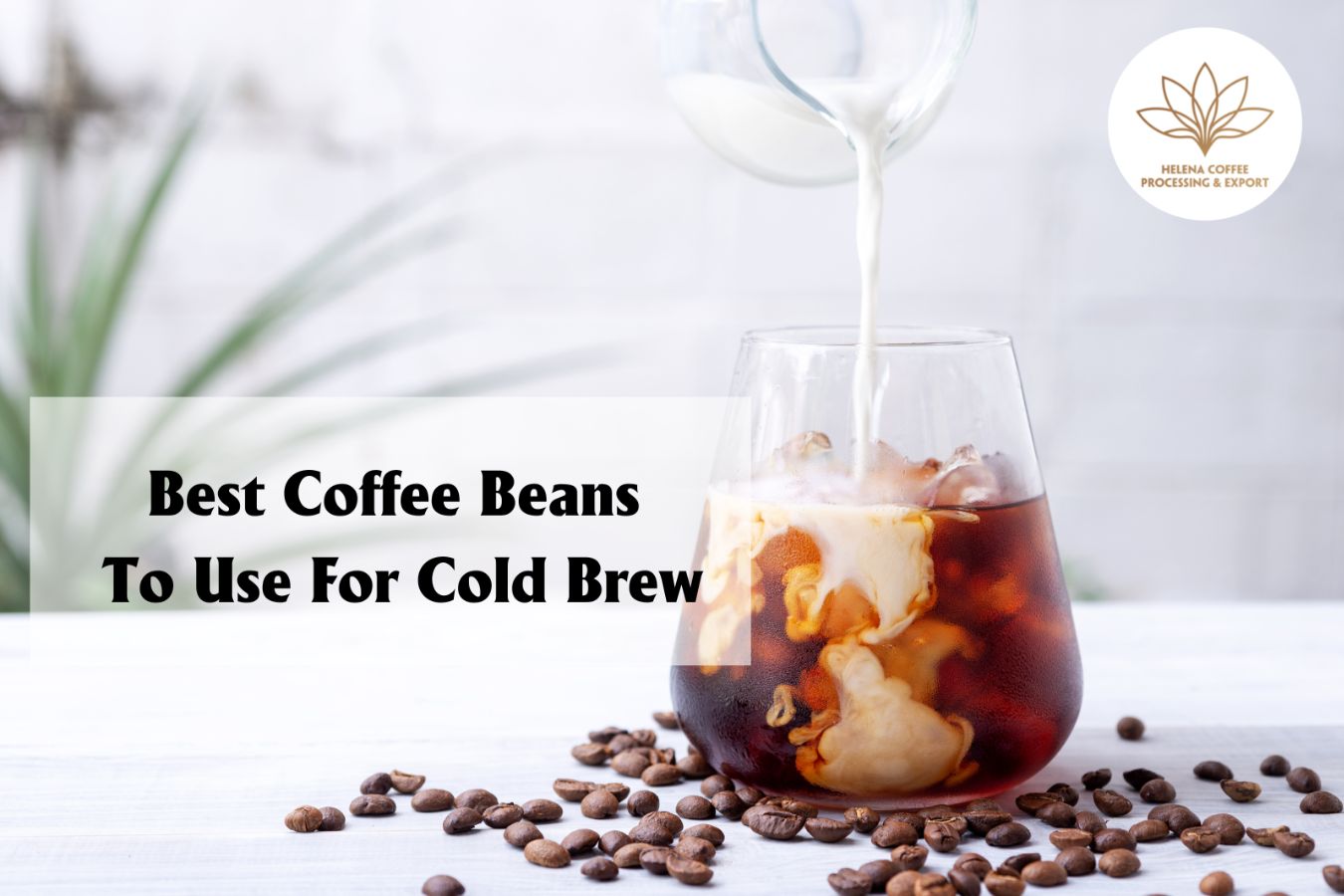 Best Coffee Beans To Use For Cold Brew (3)