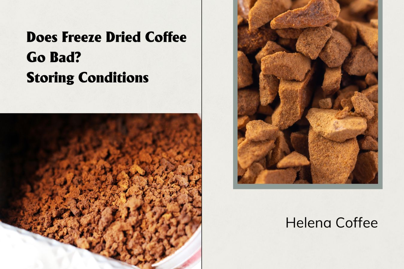 Does Freeze Dried Coffee Go Bad Storing Conditions