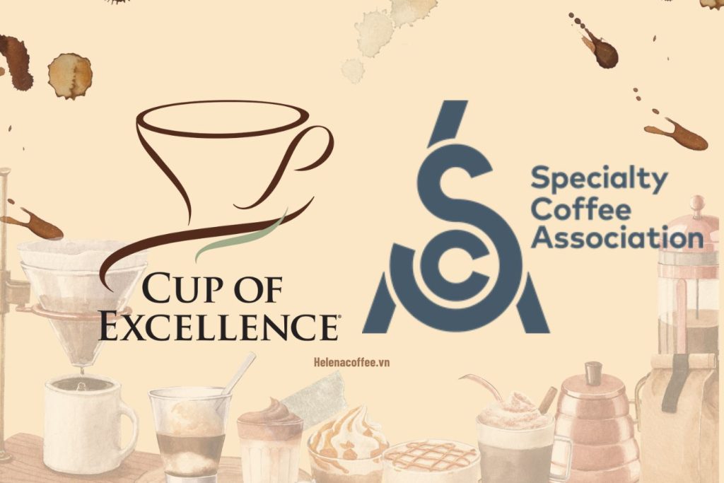 what-is-the-cup-of-excellence-how-does-coe-grading-coffee-differ-from-sca