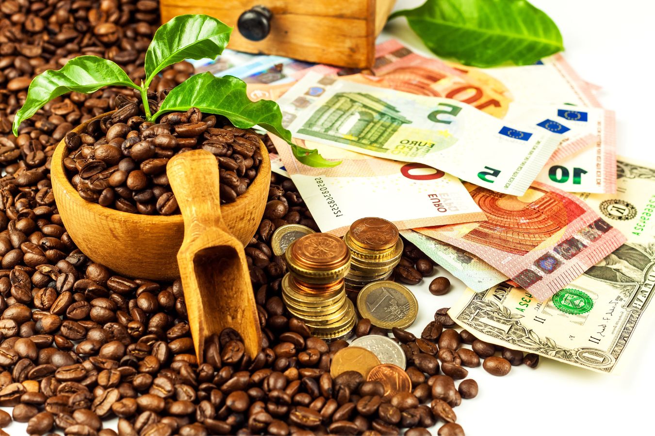 Analyze, Evaluate Current Coffee Price Situation, Forecast Next Week, and Coffee Price Prediction March, 2023