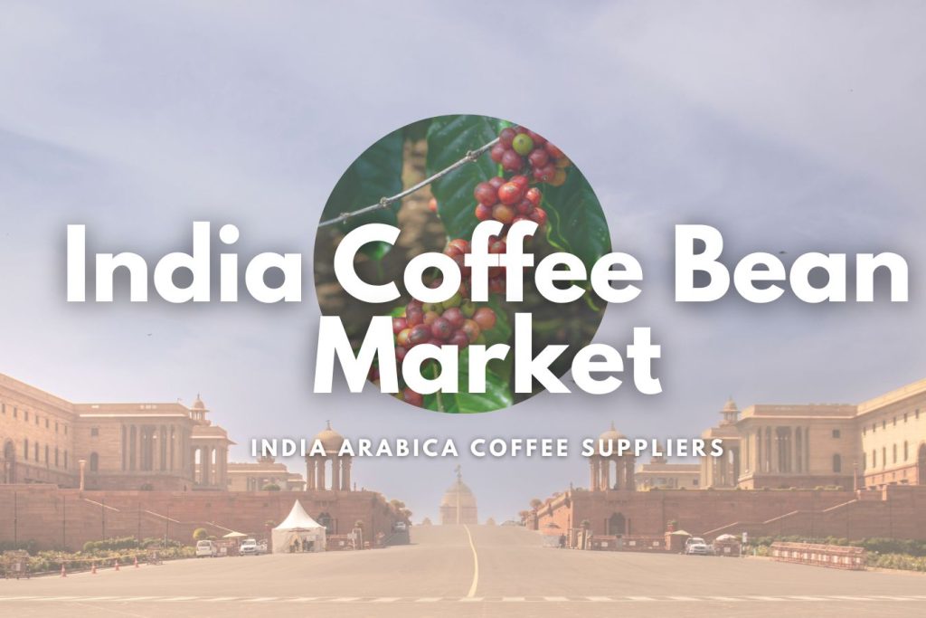 A Comprehensive Guide to the India Coffee Bean Market and India Arabica Coffee Suppliers