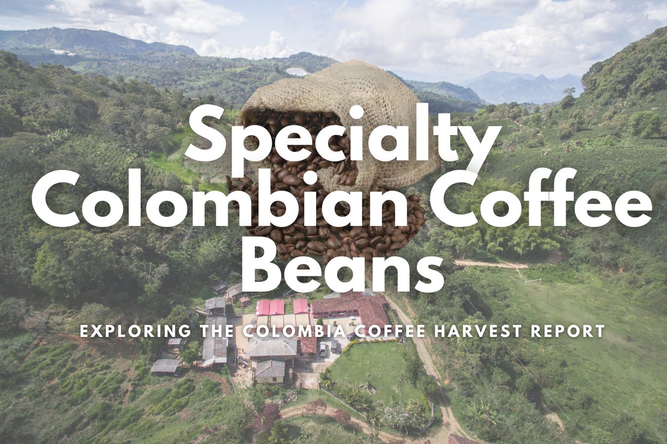 A Delicious Journey into Specialty Colombian Coffee Beans Exploring the Colombia Coffee Harvest Report