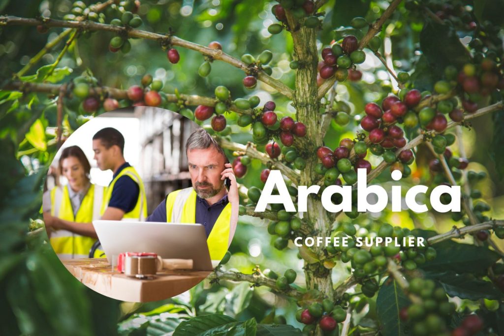 Picture Idea: Arabica Coffee Supplier Top Wholesale Suppliers Of Premium Arabica