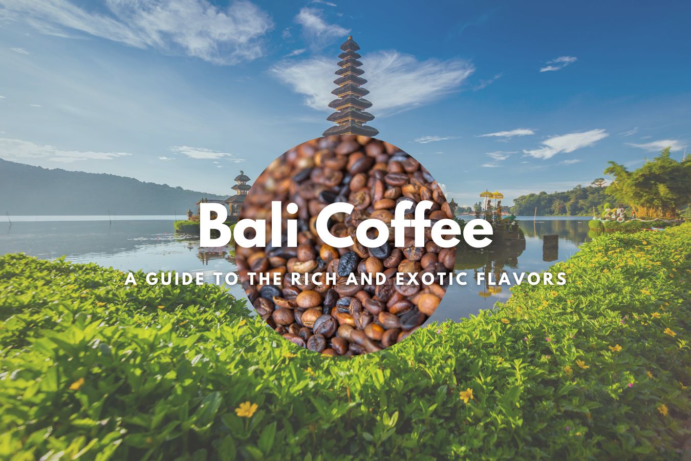 Bali Coffee A Guide to the Rich and Exotic Flavors