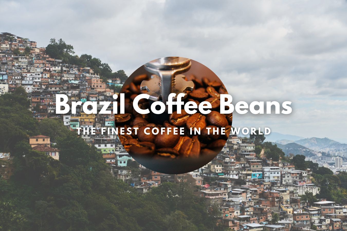 Brazil Coffee Beans: The Finest Coffee in the World